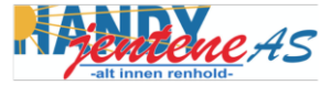 logo-handyjentene